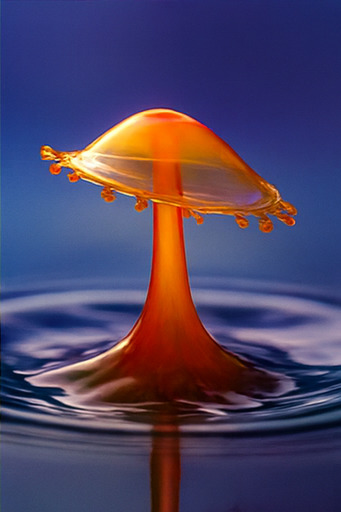 새로운 모험 세계